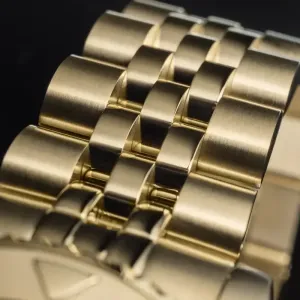 Women's Automatic Watch DAVOSA 166.198.05