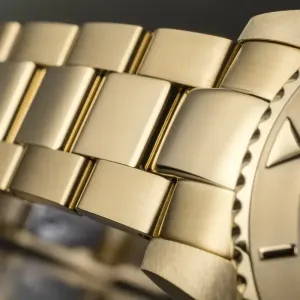 Women's Automatic Watch DAVOSA 166.198.50