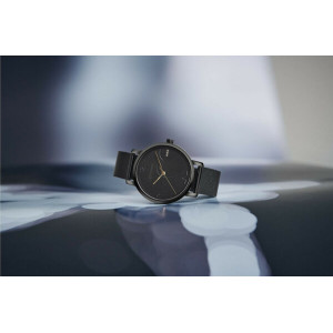 Wenger Women's Watch 01.1731.124