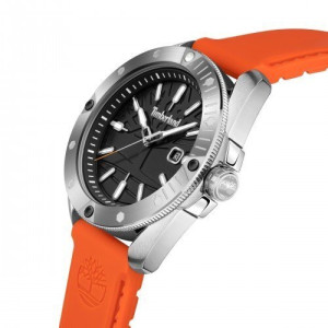 Men's Watch TIMBERLAND TDWGN2102902