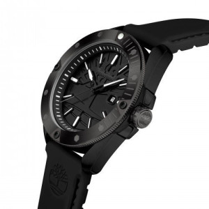 Men's Watch TIMBERLAND TDWGN2102904