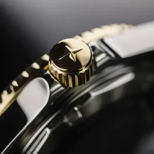 Ladies automatic Watch DAVOSA 166.197.20