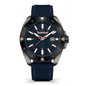 Men's Watch TIMBERLAND TDWGN2102901