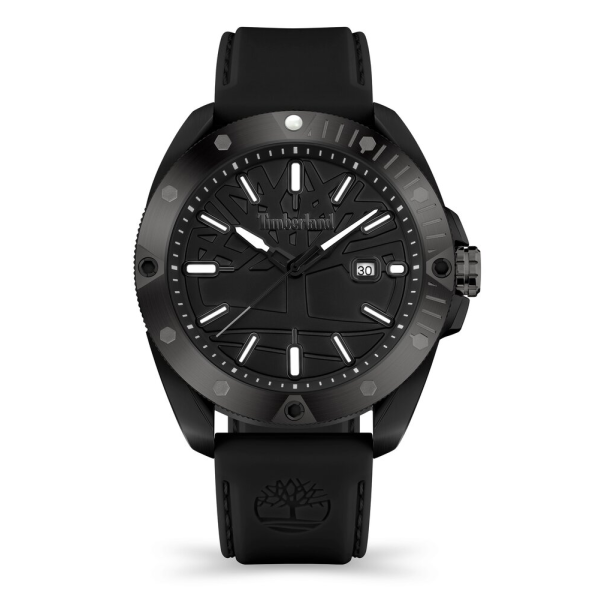 Men's Watch TIMBERLAND TDWGN2102904